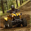 atv small